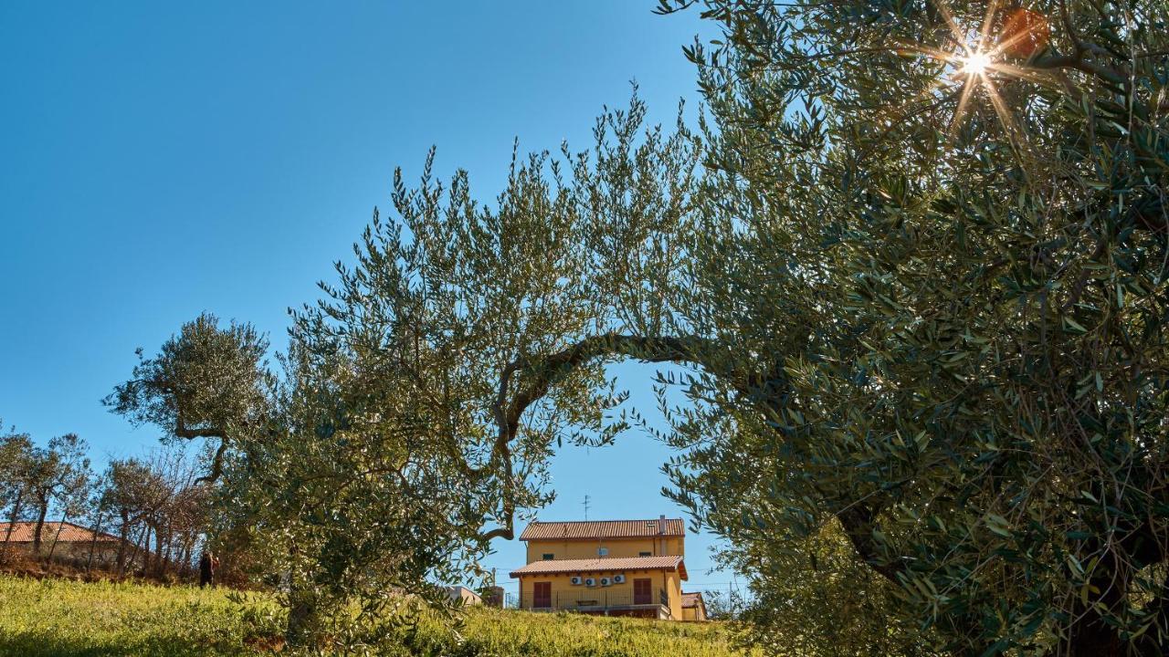 La Casa Del Vino - B&B Tollo Ngoại thất bức ảnh