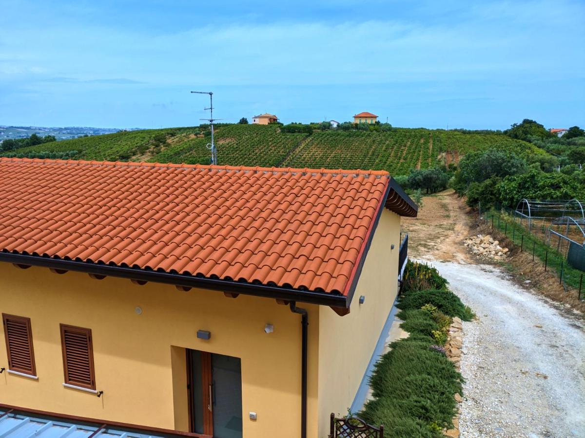 La Casa Del Vino - B&B Tollo Ngoại thất bức ảnh