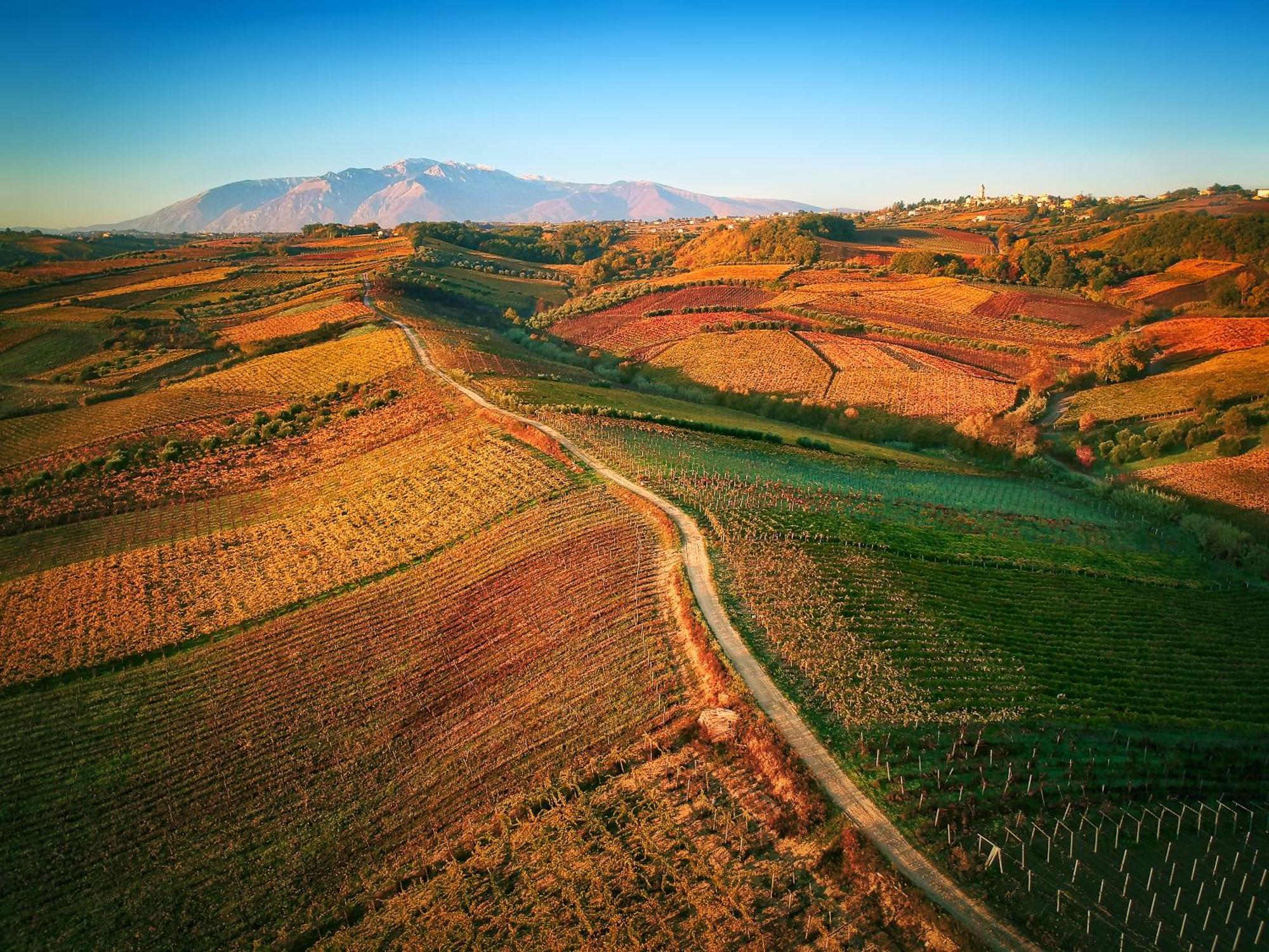 La Casa Del Vino - B&B Tollo Ngoại thất bức ảnh